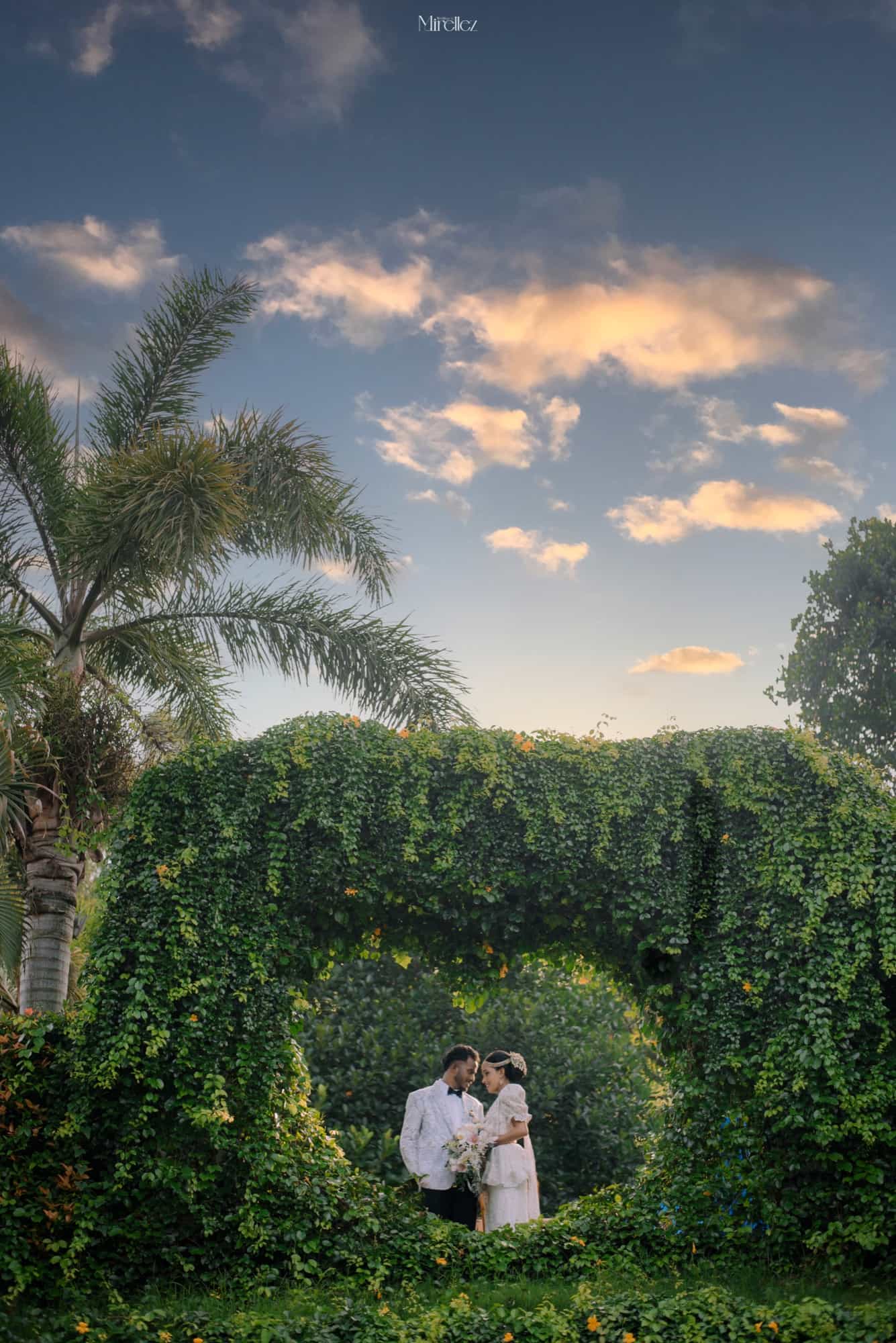 Wide sunset frame of the couple forehead to forehead inside an ivy-covered arch, palm fronds and gold-lit clouds above
