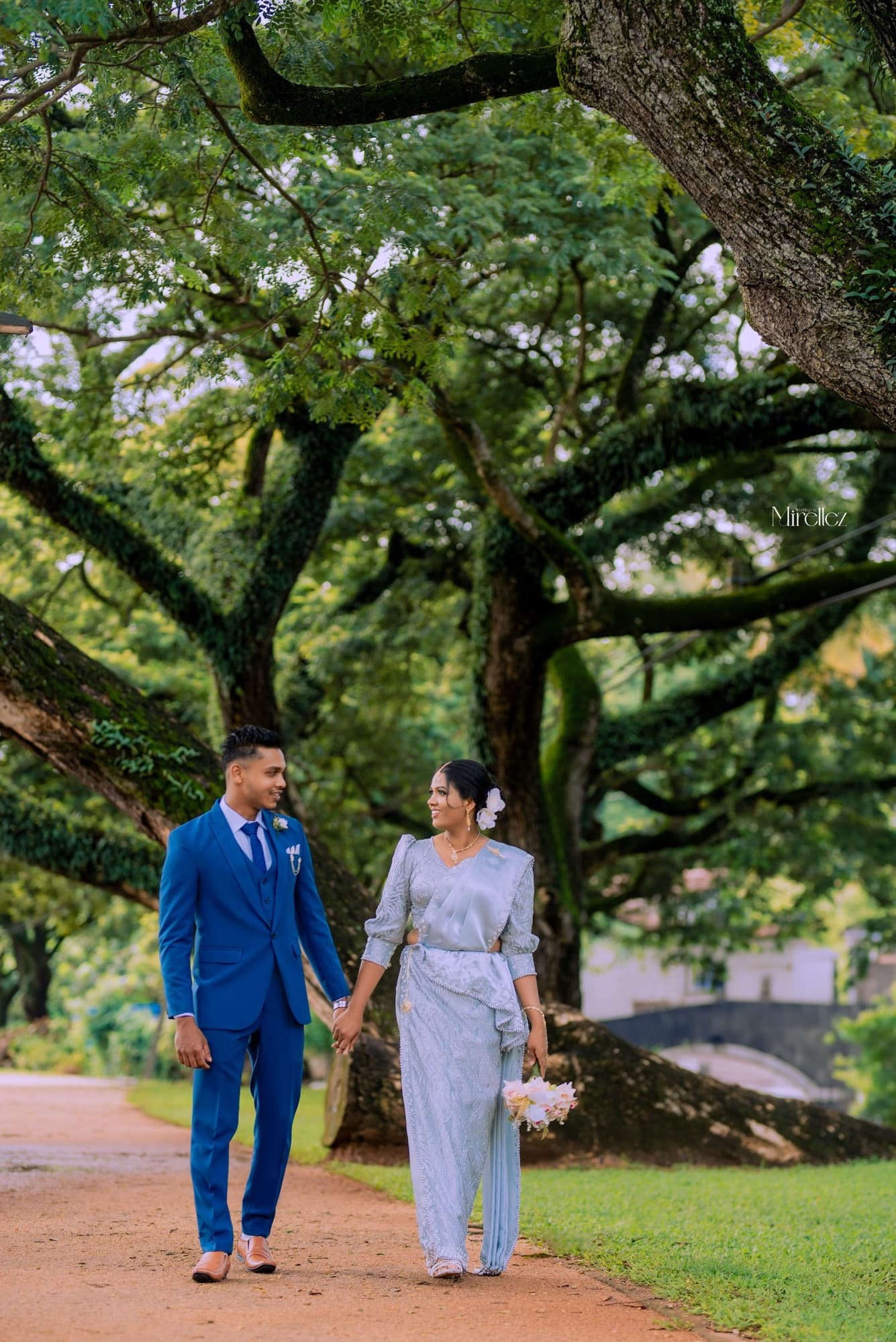 An engaged couple beneath a grand old tree